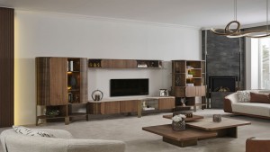 Bronze TV Ünitesi